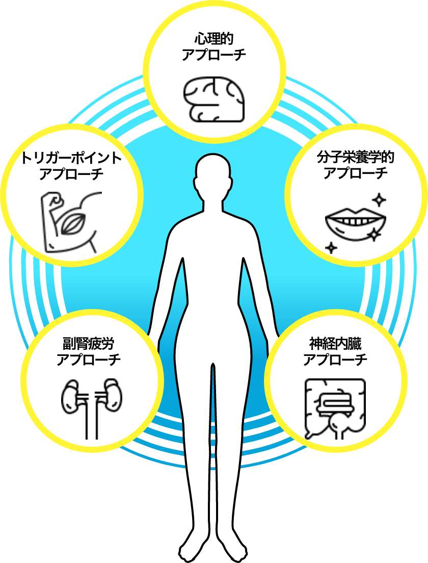 心理的アプローチ / 分子栄養学的アプローチ / 神経内臓アプローチ / 副腎疲労アプローチ / トリガーポイントアプローチ